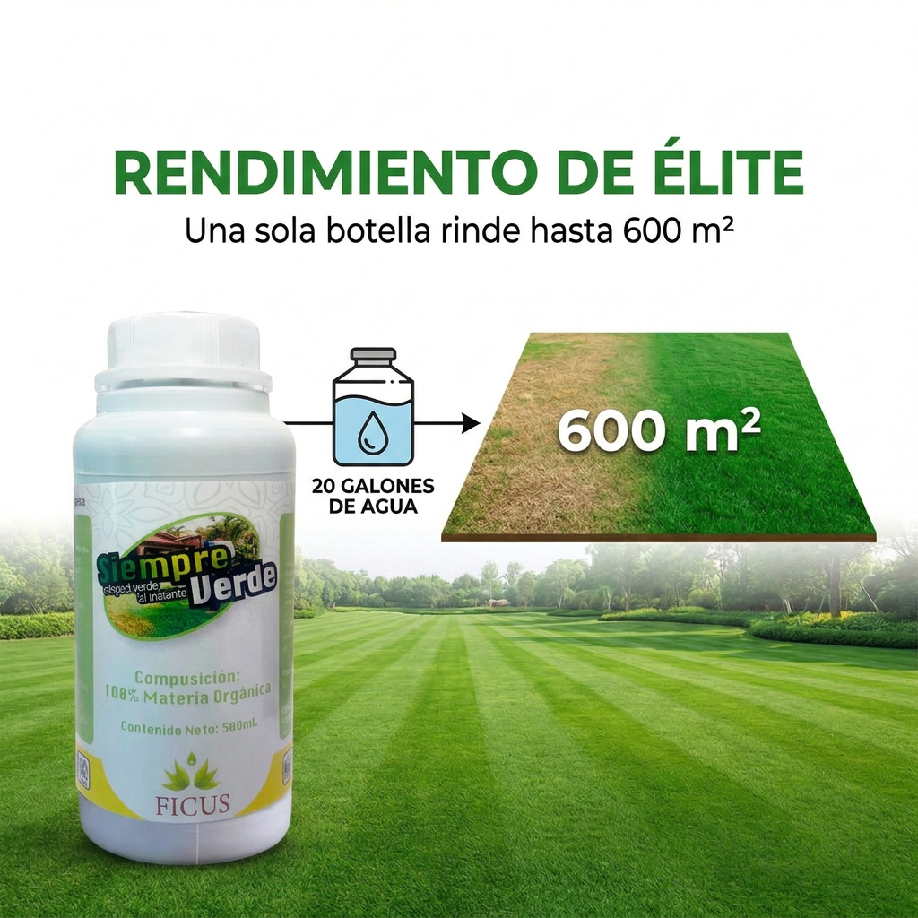 Siempre Verde
