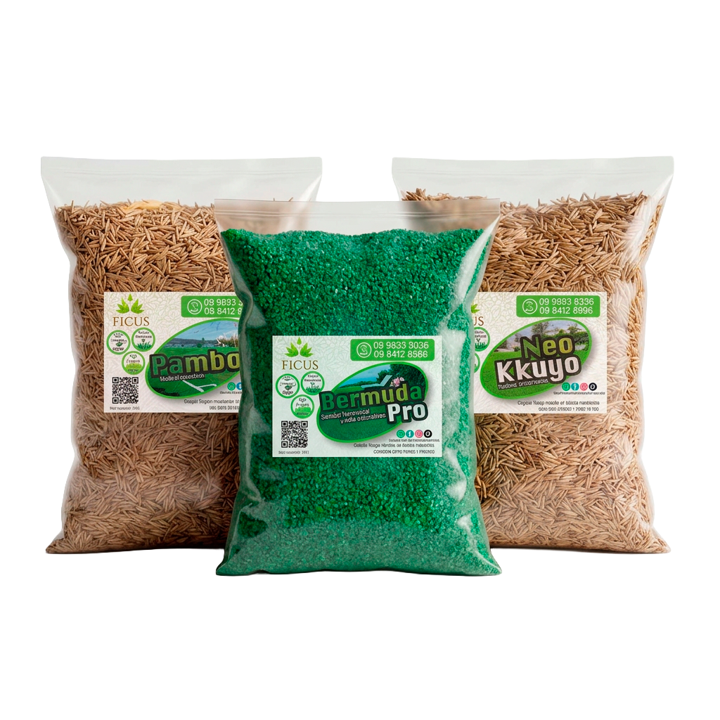 Semillas para un césped más verde