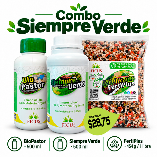 Combo Siempre Verde