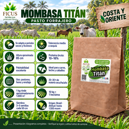 Mombasa Titán 1000gr / 1kg