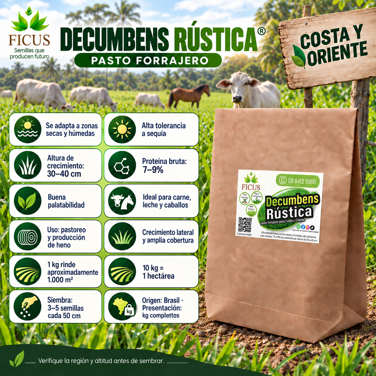 Decumbes Rústica 1000gr / 1kg