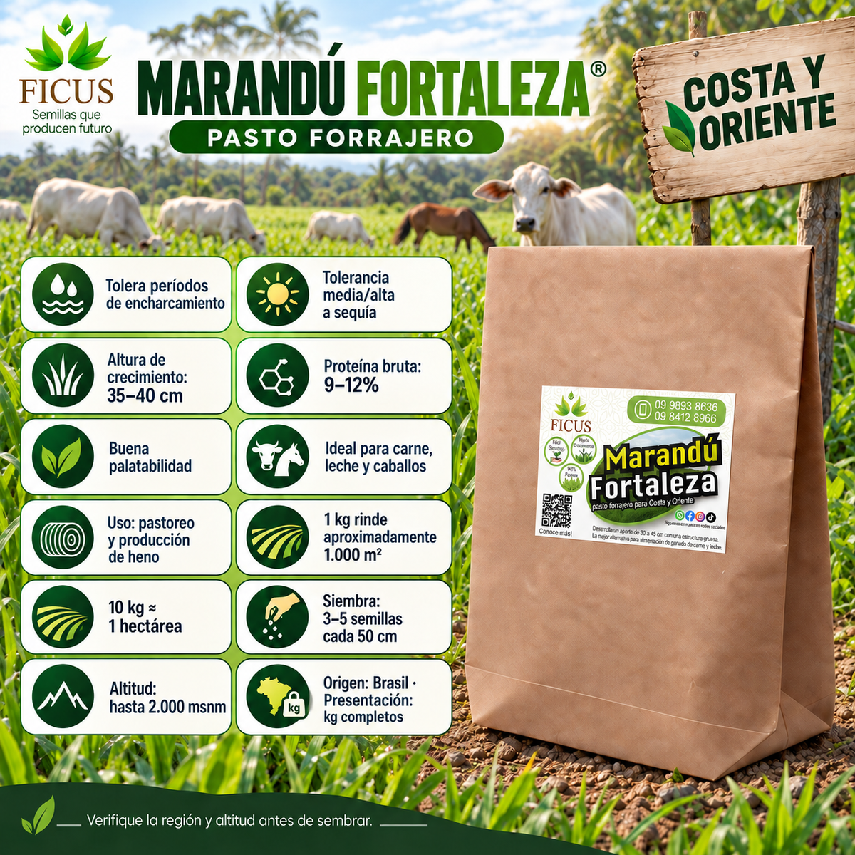 Marandú Fortaleza 1000gr / 1kg