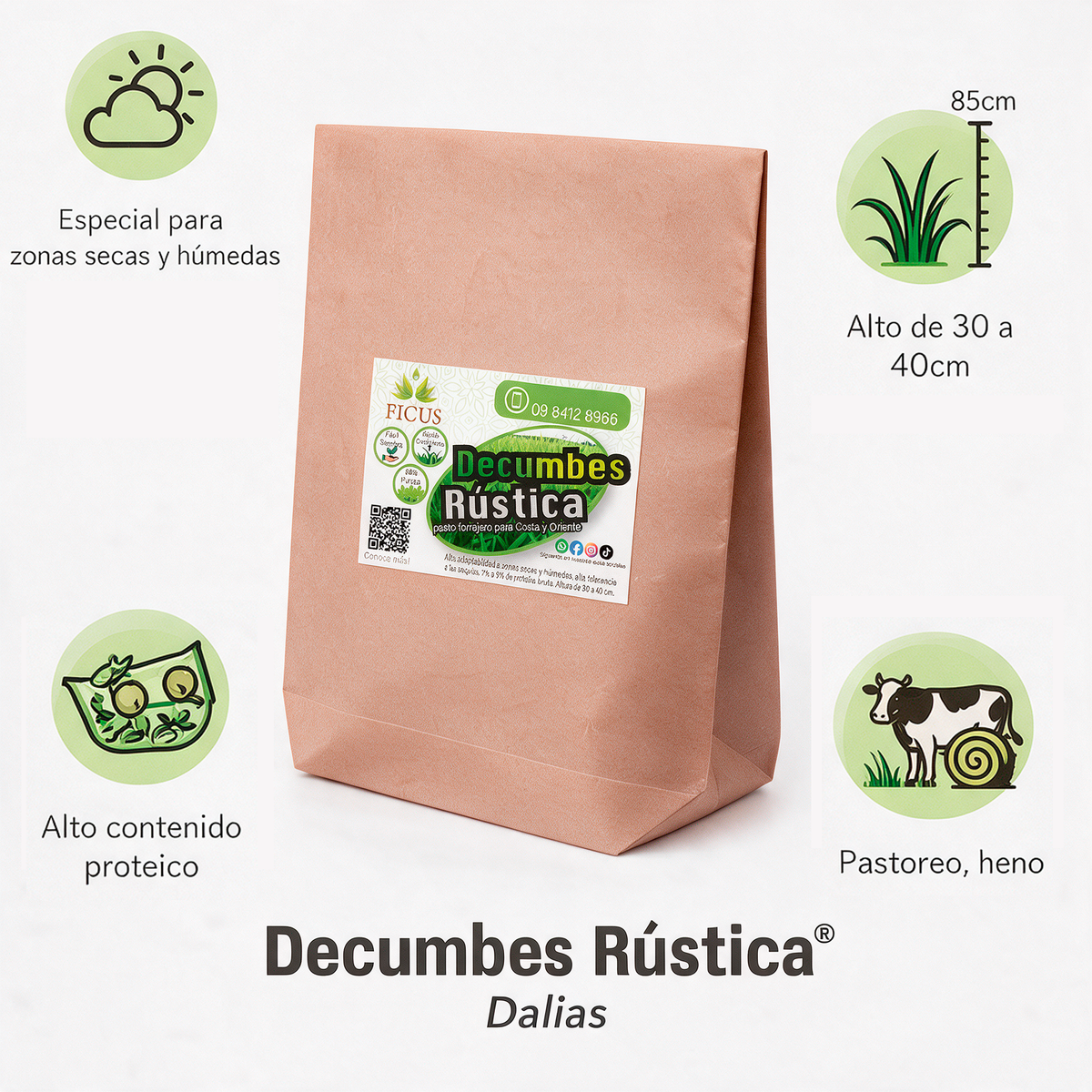 Decumbes Rústica 1000gr / 1kg