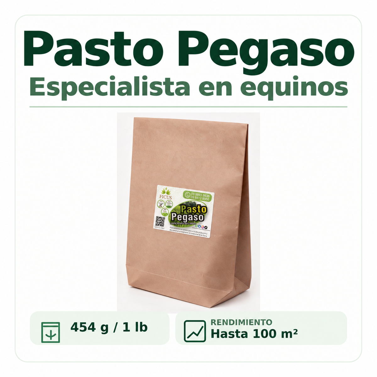 Pasto Pegaso 454gr / 1lb