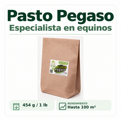 Pasto Pegaso 454gr / 1lb