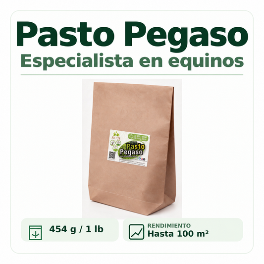 Pasto Pegaso 454gr / 1lb