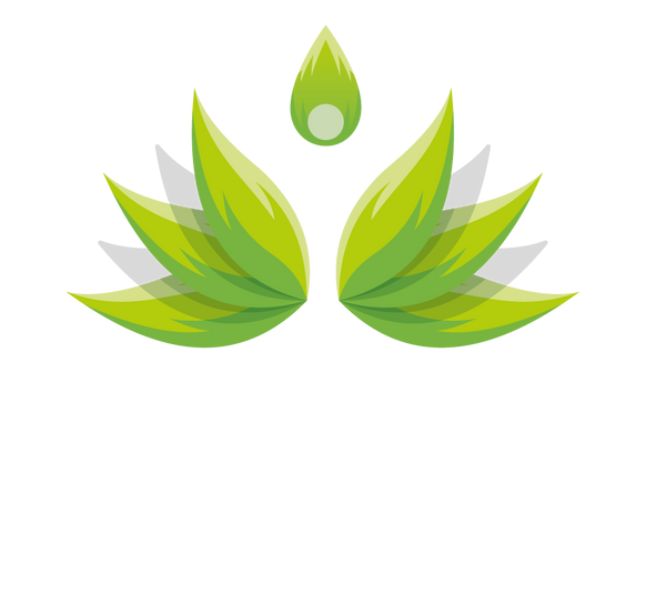 Ficus Paisajismo