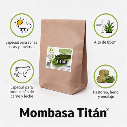 Mombasa Titán 1000gr / 1kg