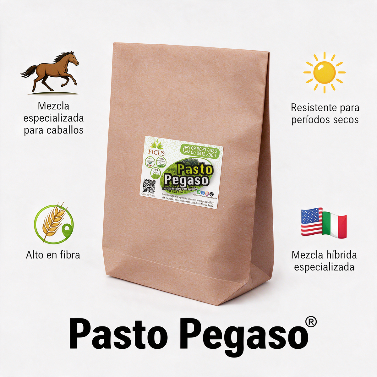 Pasto Pegaso 454gr / 1lb