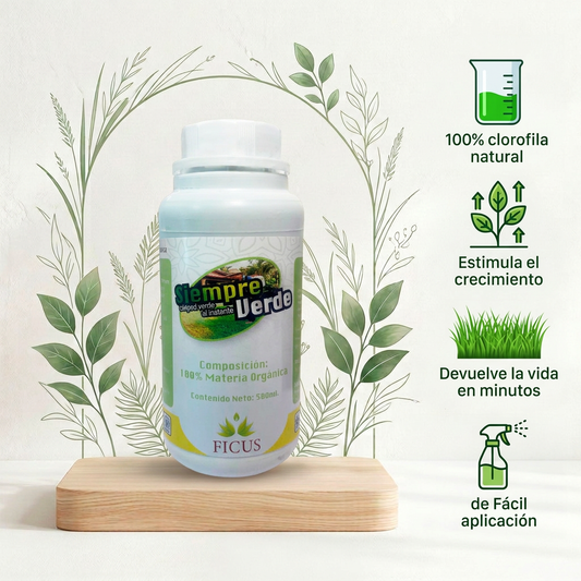 Siempre Verde