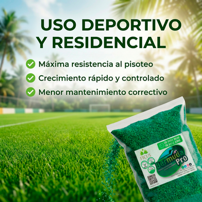 Bermuda Grass Pro - Semilla