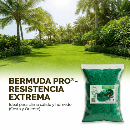 Bermuda Grass Pro - Semilla