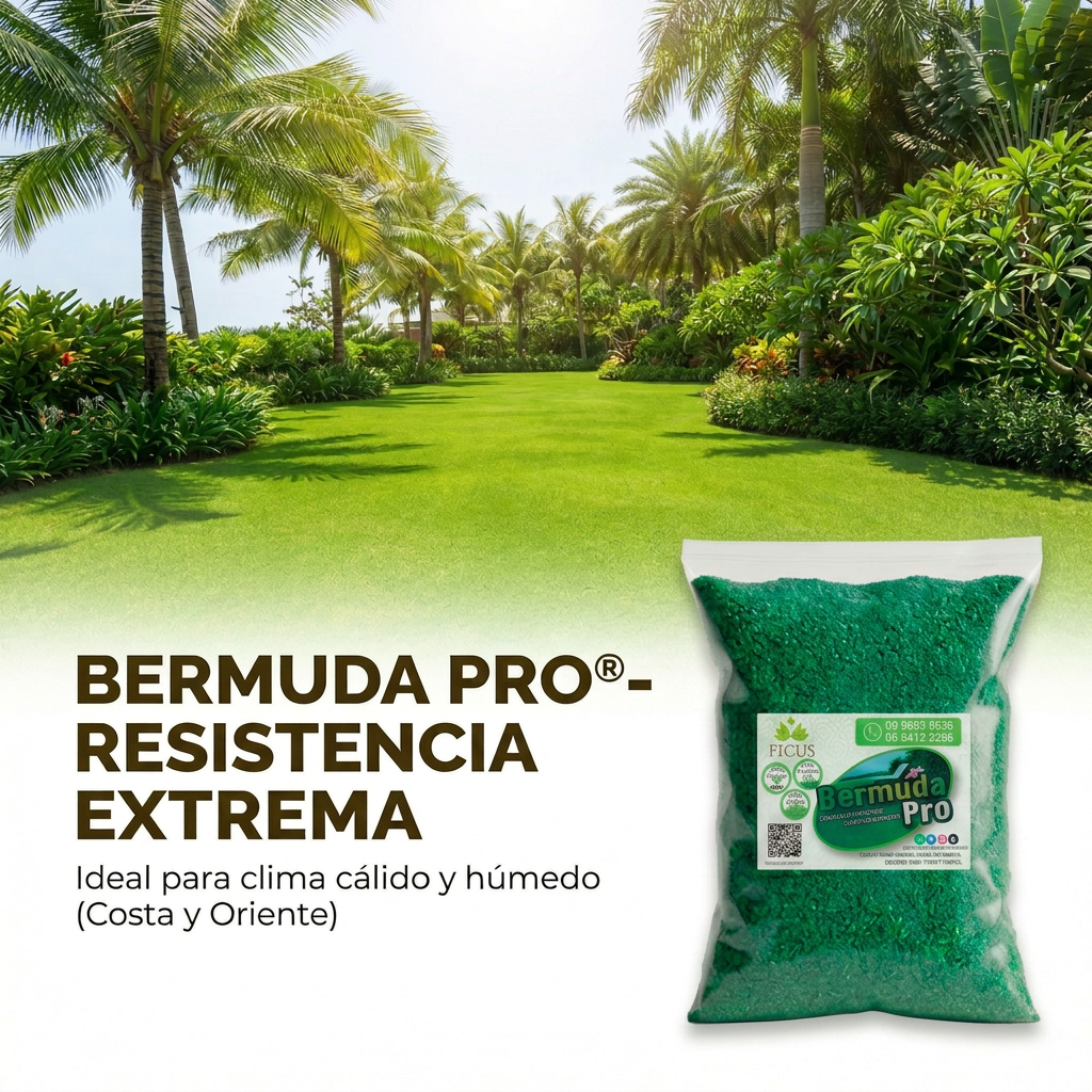Bermuda Grass Pro - Semilla