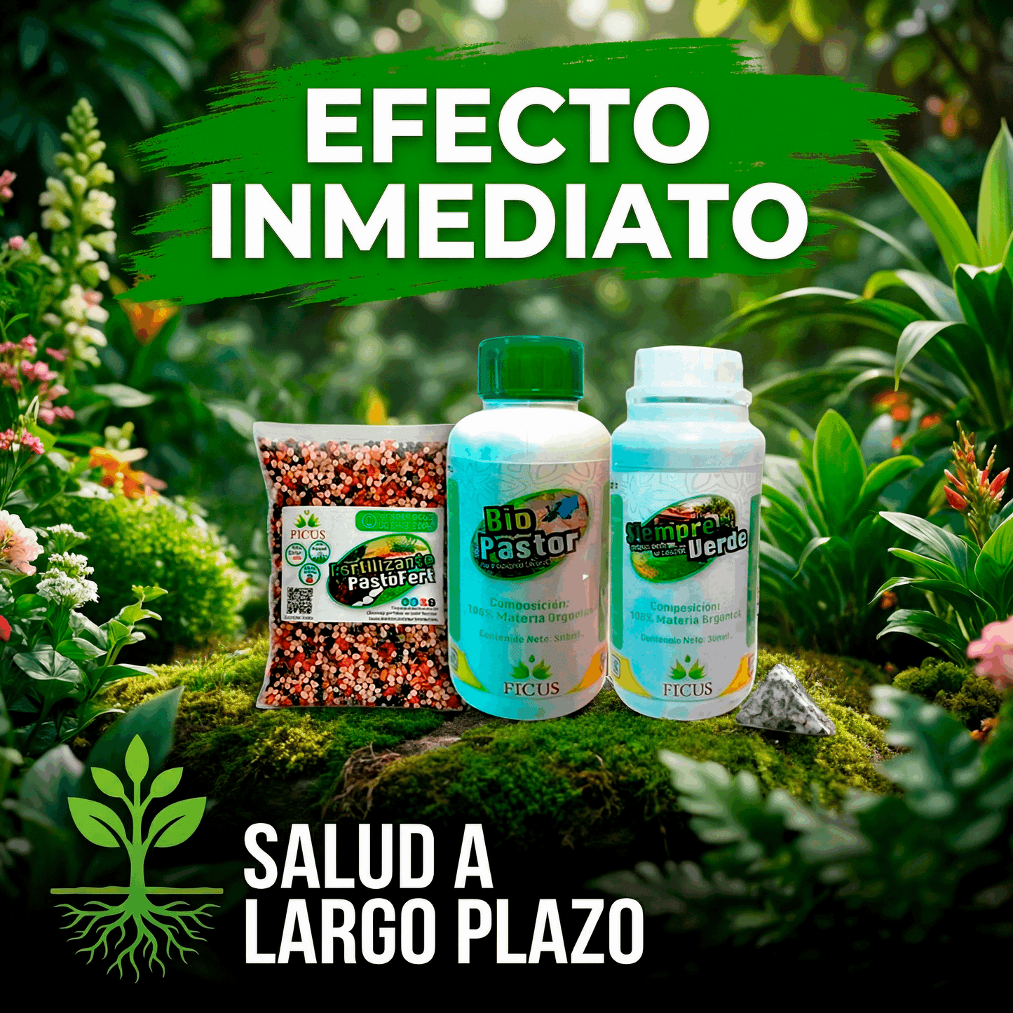 Combo Siempre Verde