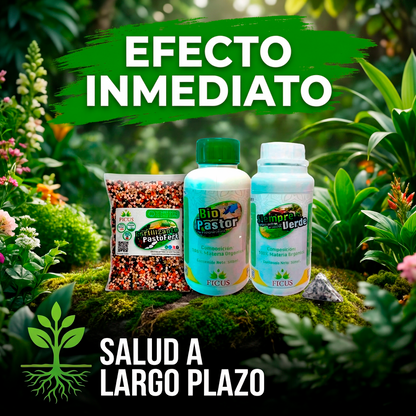 Combo Siempre Verde