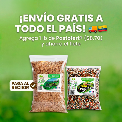 Pambol + PastoFert