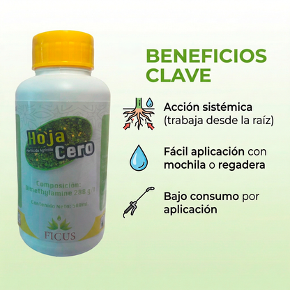 Hoja Cero