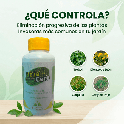 Hoja Cero