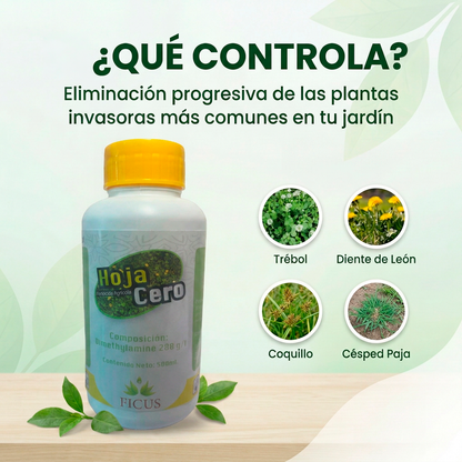 Hoja Cero