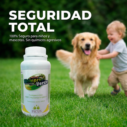 Siempre Verde
