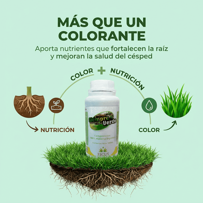 Siempre Verde