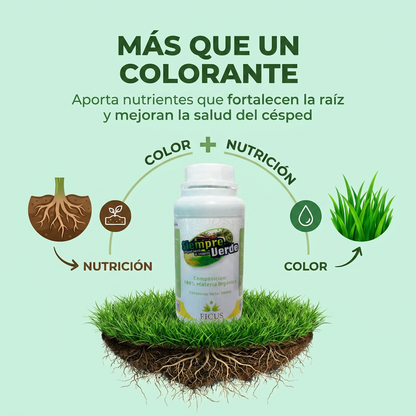 Siempre Verde