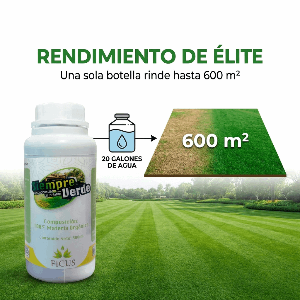 Siempre Verde