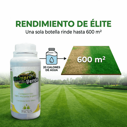 Siempre Verde