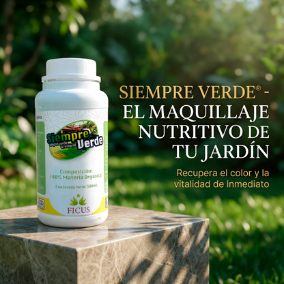 Siempre Verde